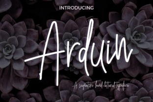 Arduin Typeface: A Brave Script for Editorial Design