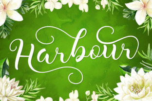 Harbour Font Review: A Modern Script for Campaign Design