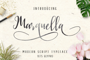 Marquella: A Script Font for Polished Brand Identity