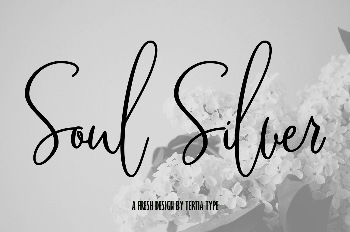 Soul Silver: A Modern Typeface for Elegant Web Design